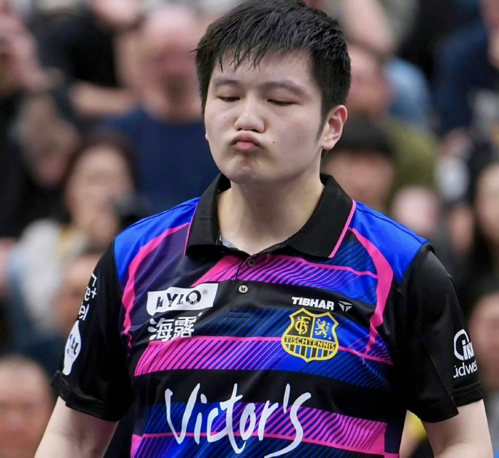 樊振东德甲告别战引发中德共鸣 外交部视频致敬